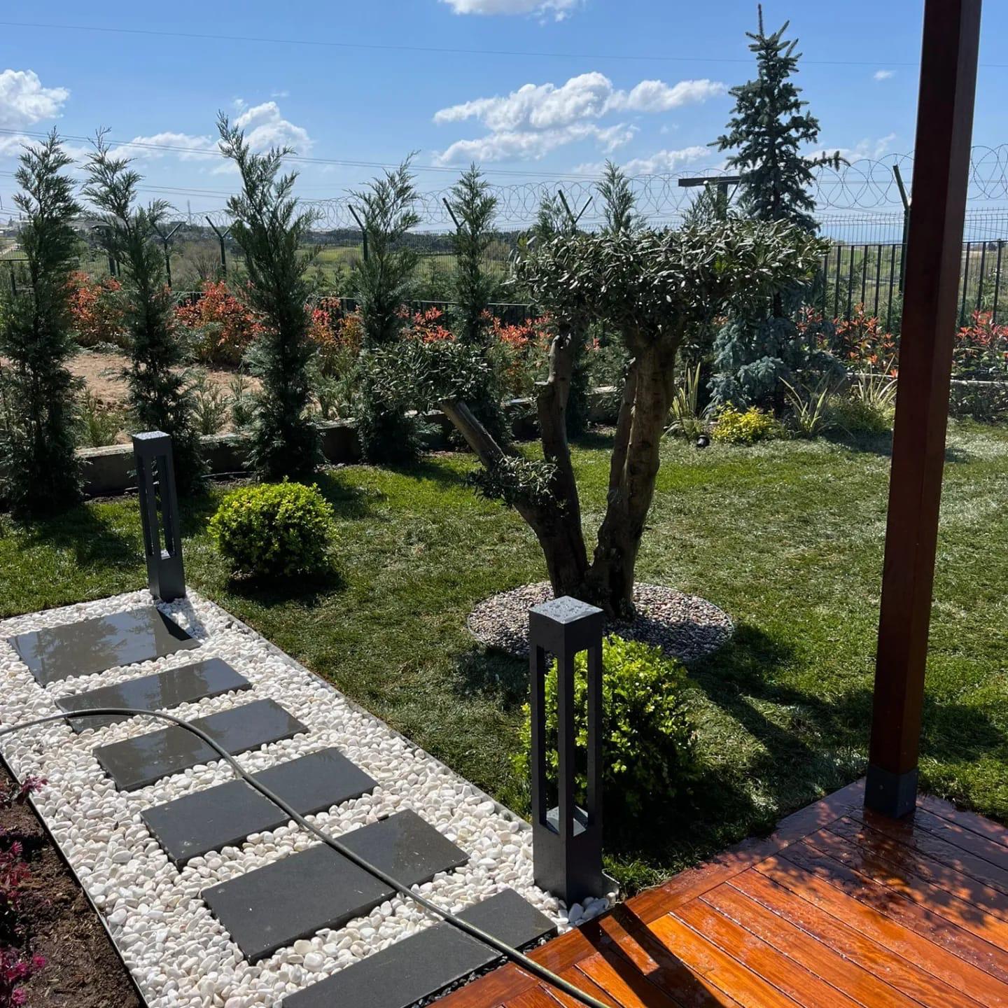 Yürüyüş Yolu Düzeni